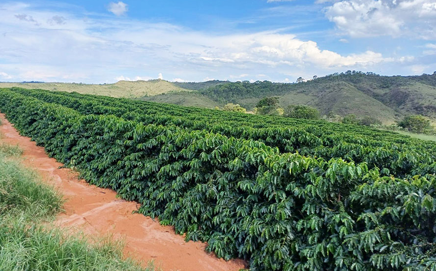 スクリーンショット 2025-07-25 093523.png