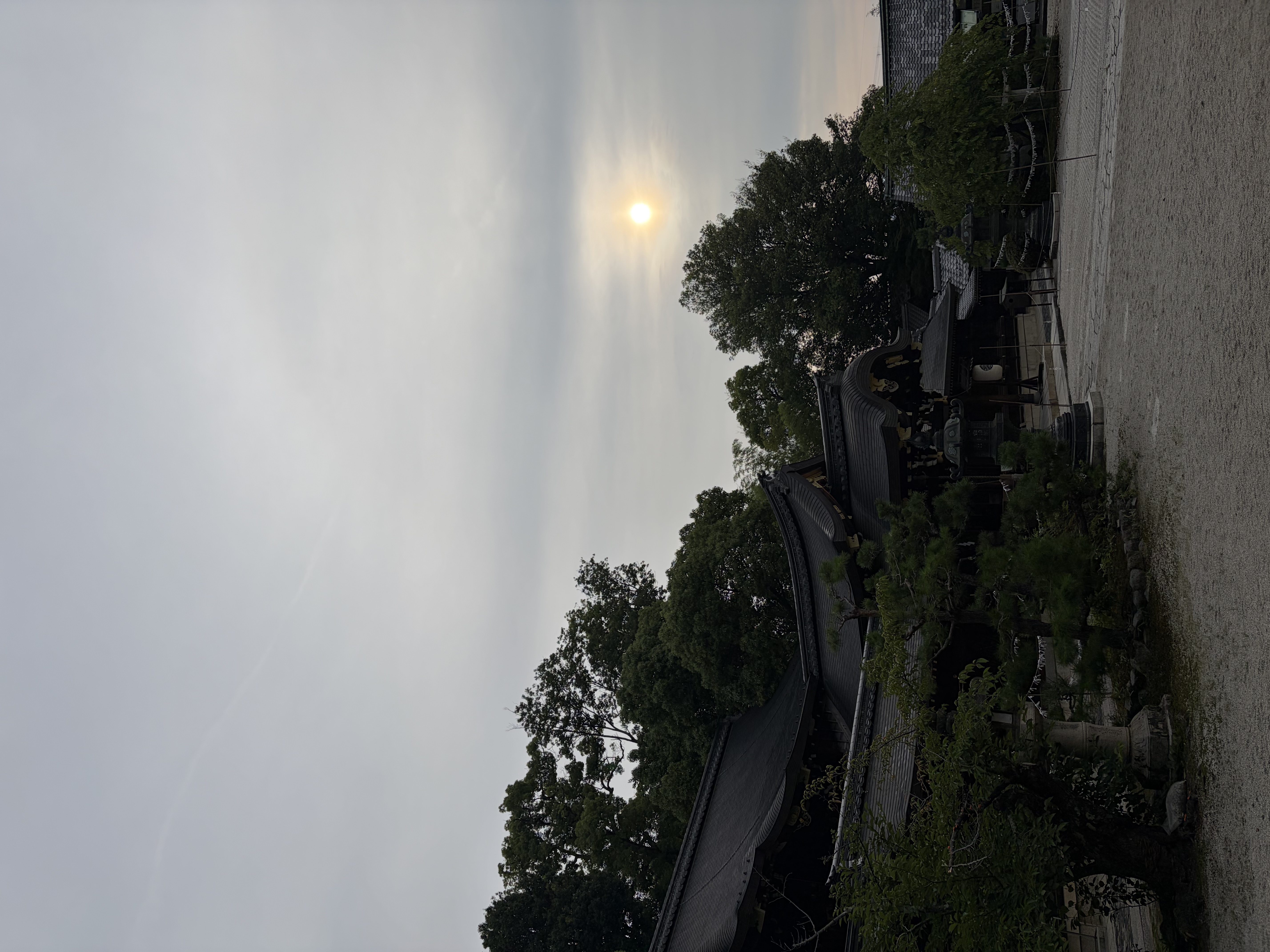 img_0913.jpeg